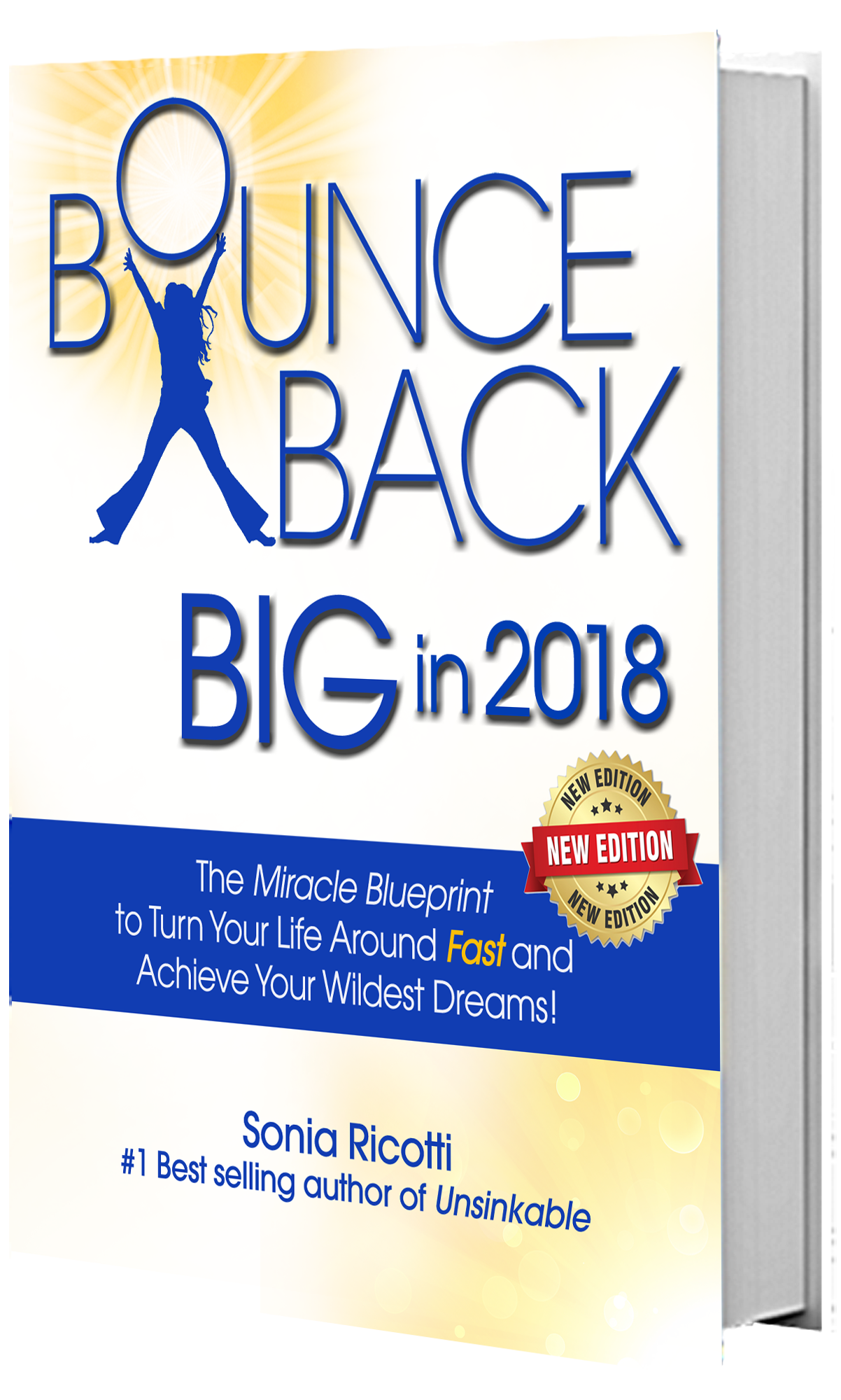 You are currently viewing Have a Rough 2017?  How to Bounce Back Big in 2018 [free pdf download]