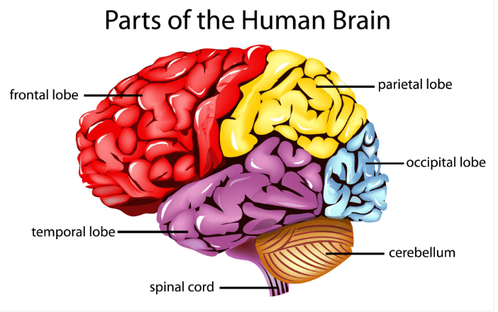 You are currently viewing Trading Psychology:  Structures In Your Trading