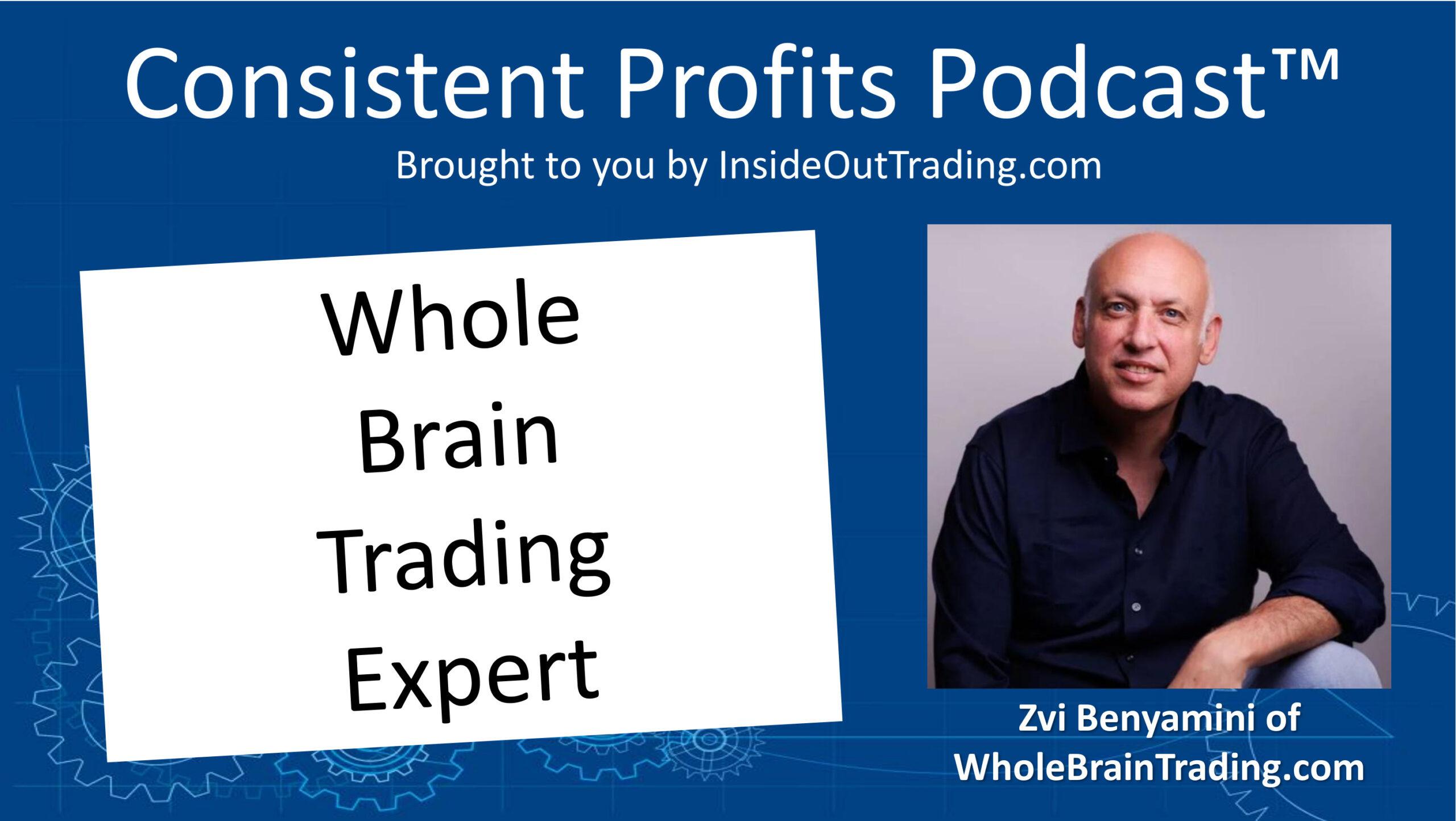 You are currently viewing 070 – Interview w Zvi Benyamini of WholeBrainTrading.com